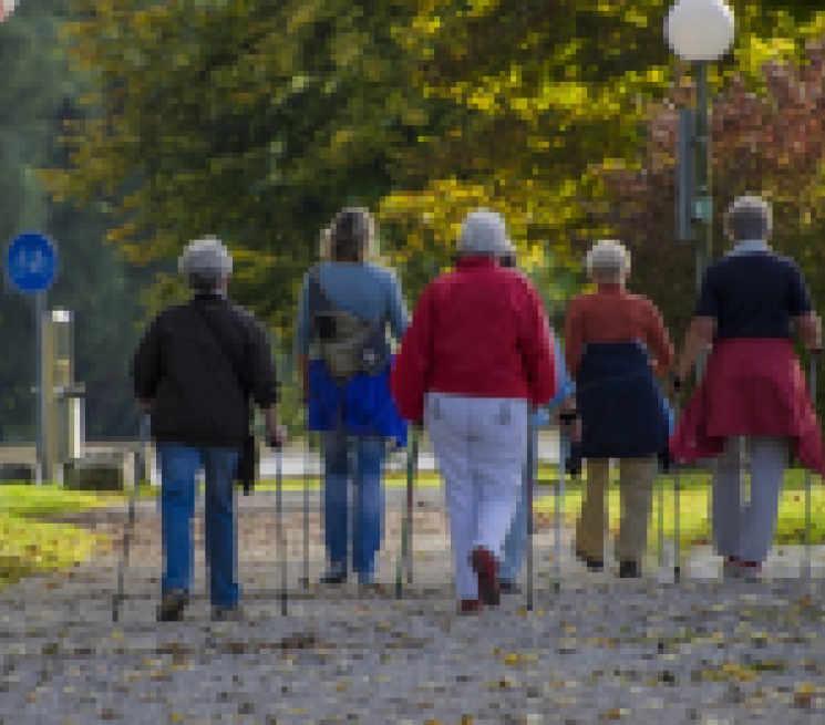 Kalinowy Zakątek zaprasza seniorów na Nordic Walking