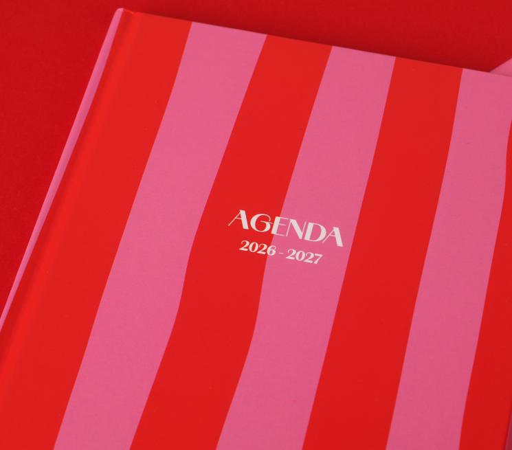 zdjęcie notek w czerwono-różowe grube pionowe pasy z napisem AGRNDA 2026-2027