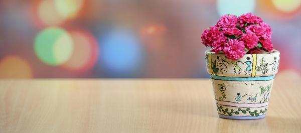 różówy kwiat w doniczce stoi na stole